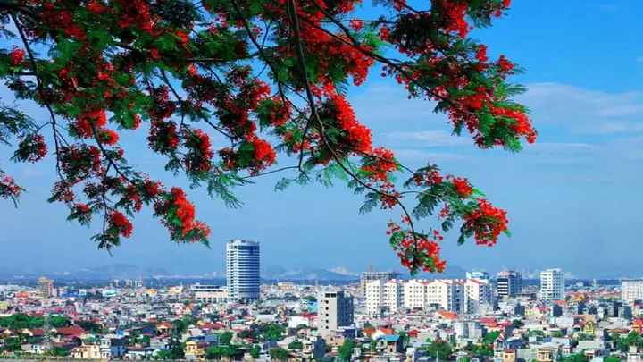 Tổng Hợp Những Hình Ảnh Đẹp Về Thành Phố Hải Phòng: Biển Đảo, Phố Đêm Và Hoa Phượng Đỏ