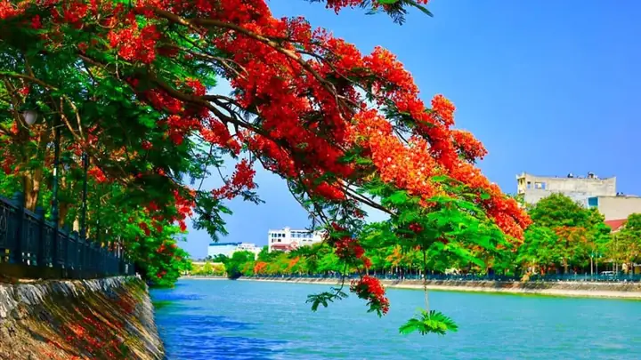 Tổng Hợp Những Hình Ảnh Đẹp Về Thành Phố Hải Phòng: Biển Đảo, Phố Đêm Và Hoa Phượng Đỏ