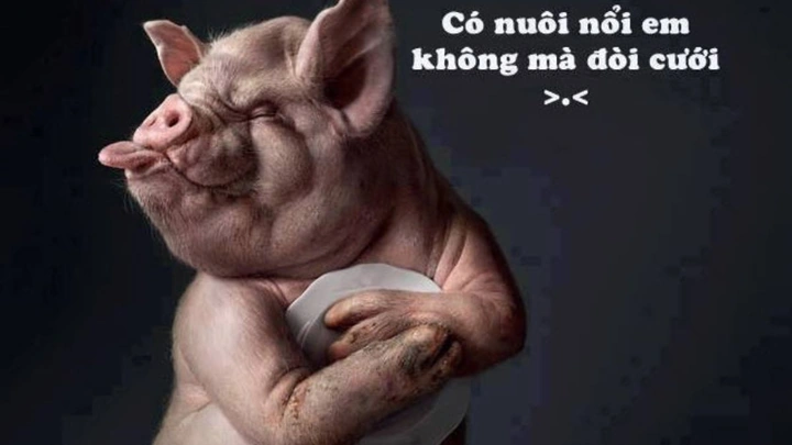 Những Hình Ảnh Hài Hước Nhất Thế Giới Mà Bạn Không Thể Bỏ Qua – Bộ Sưu Tập Cực Chất Cho Người Yêu Meme Những Hình Ảnh Hài Hước Nhất Thế Giới Mà Bạn Không Thể Bỏ Qua – Bộ Sưu Tập Cực Chất Cho Người Yêu Meme