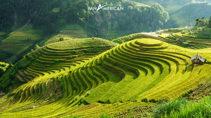 30+ Hình Ảnh Phong Cảnh Đẹp Nhất Thế Giới Dành Cho Người Yêu Du Lịch & Thiết Kế