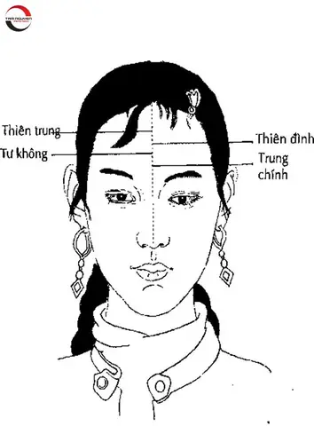 Khám Phá Những Hình Dáng Khuôn Mặt Đặc Biệt Theo Nhân Tướng Học