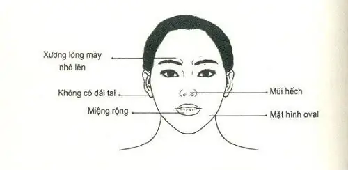 Nhận Diện Những Tướng Mặt Phụ Nữ Khổ Theo Nhân Tướng Học: Danh Sách Nét Tướng Và Ý Nghĩa Vận Mệnh Nhận Diện Những Tướng Mặt Phụ Nữ Khổ Theo Nhân Tướng Học: Danh Sách Nét Tướng Và Ý Nghĩa Vận Mệnh