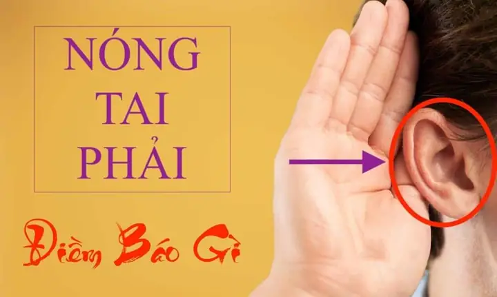 Giải Mã Nóng Tai Phải Có Điềm Báo Gì Theo Từng Khung Giờ Chuẩn Xác Giải Mã Nóng Tai Phải Có Điềm Báo Gì Theo Từng Khung Giờ Chuẩn Xác