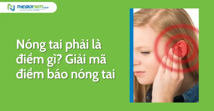 Giải Mã Nóng Tai Phải Có Điềm Báo Gì Theo Từng Khung Giờ Chuẩn Xác Giải Mã Nóng Tai Phải Có Điềm Báo Gì Theo Từng Khung Giờ Chuẩn Xác