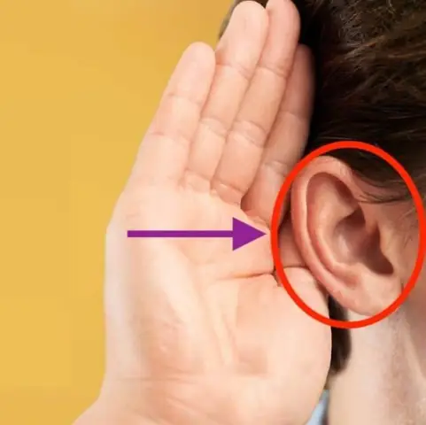 Giải Mã Nóng Tai Phải Ở Nữ Là Điềm Báo Gì Theo Giờ Chuẩn Xác