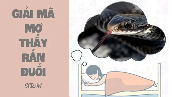 Giải Mã Ý Nghĩa Giấc Mơ Nữ Mơ Thấy Rắn Đuổi Mình: Điềm Báo, Đánh Con Gì Và Góc Nhìn Tâm Linh Giải Mã Ý Nghĩa Giấc Mơ Nữ Mơ Thấy Rắn Đuổi Mình: Điềm Báo, Đánh Con Gì Và Góc Nhìn Tâm Linh