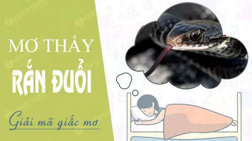 Giải Mã Ý Nghĩa Giấc Mơ Nữ Mơ Thấy Rắn Đuổi Mình: Điềm Báo, Đánh Con Gì Và Góc Nhìn Tâm Linh Giải Mã Ý Nghĩa Giấc Mơ Nữ Mơ Thấy Rắn Đuổi Mình: Điềm Báo, Đánh Con Gì Và Góc Nhìn Tâm Linh