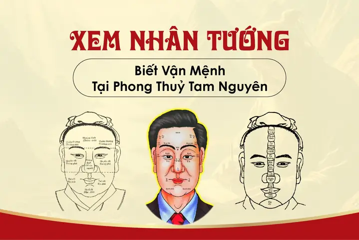 Hướng Dẫn Xem Phong Thủy Tướng Số Như Thế Nào Qua Nhân Tướng Học Khuôn Mặt Cho Người Mới Tìm Hiểu