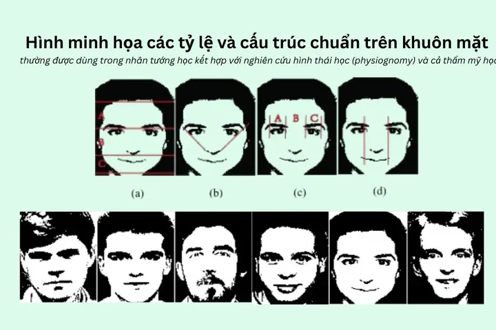 Hướng Dẫn Ứng Dụng Phong Thủy Và Nhân Tướng Học Trong Tuyển Dụng Cho Nhà Tuyển Dụng