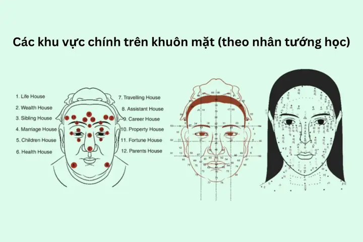 Hướng Dẫn Ứng Dụng Phong Thủy Và Nhân Tướng Học Trong Tuyển Dụng Cho Nhà Tuyển Dụng