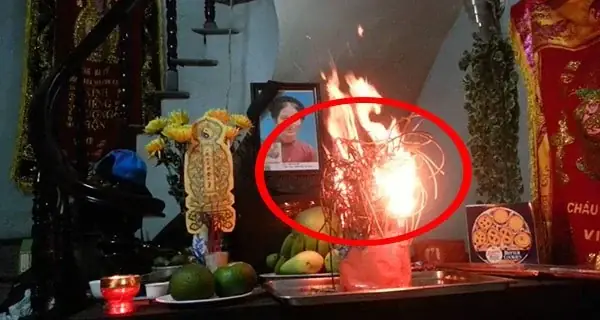 Giải Nghĩa Quả Rơi Vào Người Là Điềm Báo Gì: May Mắn Hay Xui Xẻo Theo Dân Gian Giải Nghĩa Quả Rơi Vào Người Là Điềm Báo Gì: May Mắn Hay Xui Xẻo Theo Dân Gian