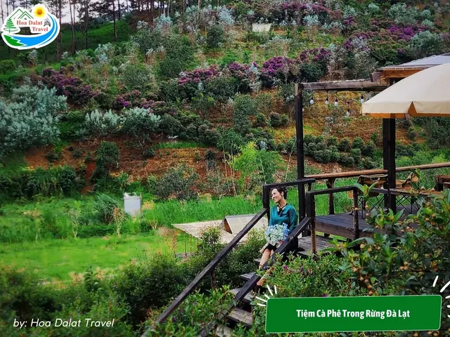 Khám Phá Quán Cà Phê Đẹp Ở Trung Tâm Đà Lạt: Top Địa Điểm Sống Ảo Gần Trung Tâm Khám Phá Quán Cà Phê Đẹp Ở Trung Tâm Đà Lạt: Top Địa Điểm Sống Ảo Gần Trung Tâm