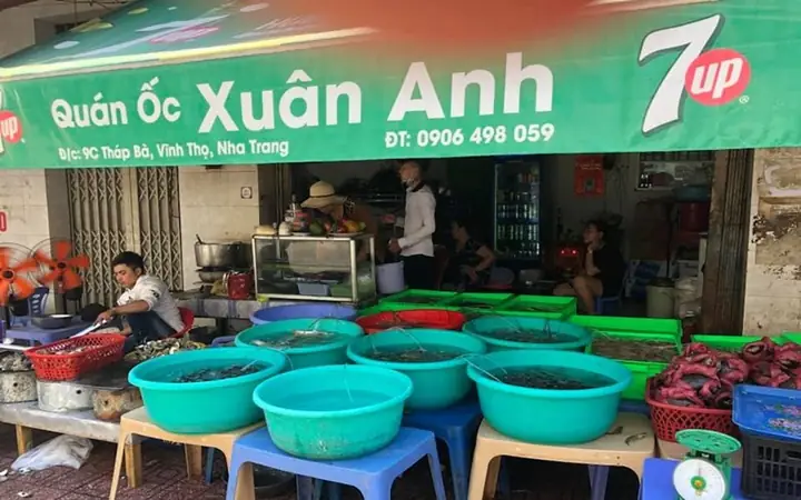Tổng Hợp Các Quán Ốc Ngon Ở Nha Trang Cho Du Khách Và Dân Địa Phương Tổng Hợp Các Quán Ốc Ngon Ở Nha Trang Cho Du Khách Và Dân Địa Phương