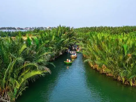 Hướng Dẫn Chi Tiết Khám Phá Rừng Dừa Bảy Mẫu (cẩm Thanh) – Vé, Hoạt Động, Lưu Ý Du Lịch Hướng Dẫn Chi Tiết Khám Phá Rừng Dừa Bảy Mẫu (cẩm Thanh) – Vé, Hoạt Động, Lưu Ý Du Lịch