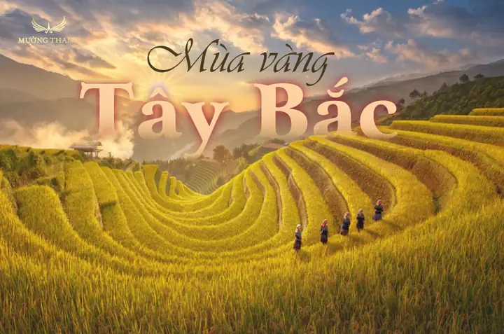 Khám Phá Ruộng Bậc Thang Ở Tây Bắc – Kỳ Quan Đất Nước Và Kinh Nghiệm Ngắm Cảnh
