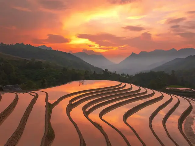 Khám Phá Ruộng Bậc Thang Ở Tây Bắc – Kỳ Quan Đất Nước Và Kinh Nghiệm Ngắm Cảnh