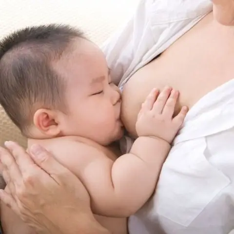 Hướng Dẫn Xử Lý Khi Sâu Róm Bụ Vào Áo Gây Ngứa Và Giải Mã Điềm Báo Liên Quan Hướng Dẫn Xử Lý Khi Sâu Róm Bụ Vào Áo Gây Ngứa Và Giải Mã Điềm Báo Liên Quan