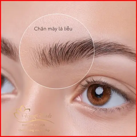 Sửa Tướng Chân Mày Có Cần Xem Ngày Không Và Góc Nhìn Thực Tế Cho Người Muốn Làm Đẹp Sửa Tướng Chân Mày Có Cần Xem Ngày Không Và Góc Nhìn Thực Tế Cho Người Muốn Làm Đẹp