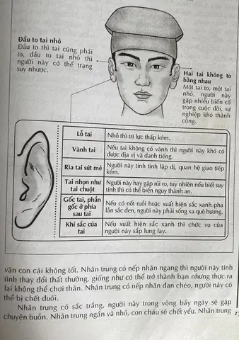 Tướng Tai Nhỏ: Giải Mã Ý Nghĩa, Dấu Hiệu Hung Cát Và Vận Mệnh Nam Nữ Chi Tiết Tướng Tai Nhỏ: Giải Mã Ý Nghĩa, Dấu Hiệu Hung Cát Và Vận Mệnh Nam Nữ Chi Tiết