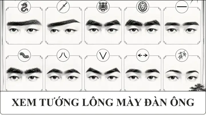 Tổng Hợp 23+ Tướng Lông Mày Phong Thủy Đầy Đủ Nhất: Ý Nghĩa Nhân Tướng Nam, Nữ Chi Tiết Tổng Hợp 23+ Tướng Lông Mày Phong Thủy Đầy Đủ Nhất: Ý Nghĩa Nhân Tướng Nam, Nữ Chi Tiết