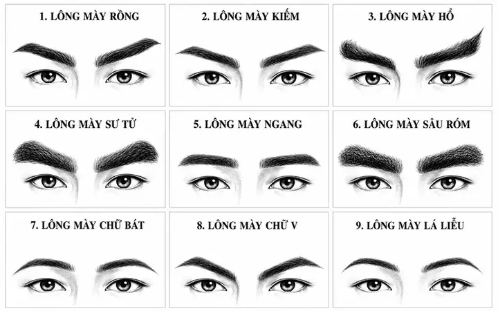 Tổng Hợp 23+ Tướng Lông Mày Phong Thủy Đầy Đủ Nhất: Ý Nghĩa Nhân Tướng Nam, Nữ Chi Tiết Tổng Hợp 23+ Tướng Lông Mày Phong Thủy Đầy Đủ Nhất: Ý Nghĩa Nhân Tướng Nam, Nữ Chi Tiết