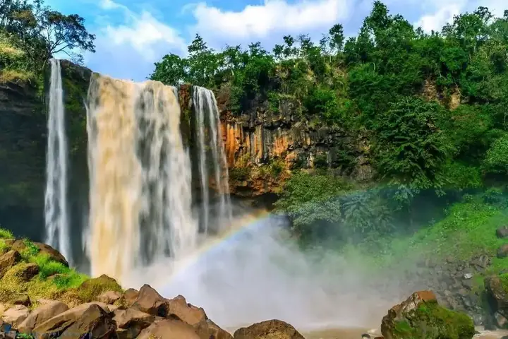 Khám Phá Thác Phú Cường Ở Gia Lai: Vị Trí, Vẻ Đẹp Và Kinh Nghiệm Ghé Thăm Khám Phá Thác Phú Cường Ở Gia Lai: Vị Trí, Vẻ Đẹp Và Kinh Nghiệm Ghé Thăm