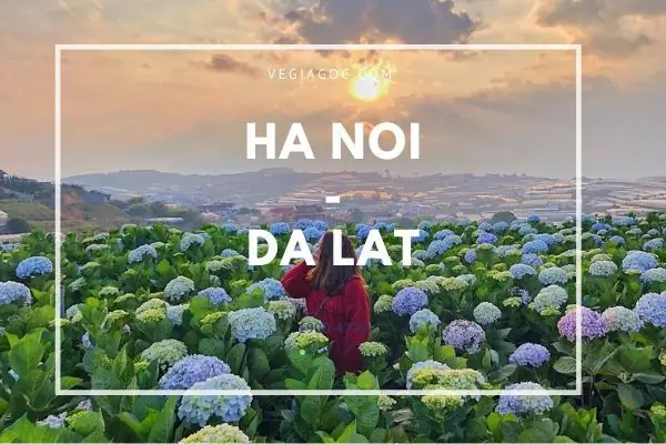 Giải Đáp Thời Gian Bay Từ Hà Nội Đến Đà Lạt: Thời Lượng Chuyến Bay Nội Địa Và Hành Trình Tổng Thể Cho Du Khách