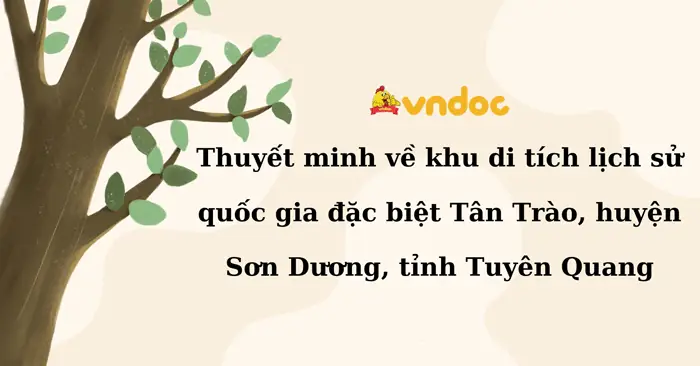 Thuyết Minh Về Cây Đa Tân Trào: Biểu Tượng Lịch Sử Cách Mạng Tại Tuyên Quang