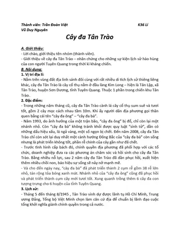 Thuyết Minh Về Cây Đa Tân Trào: Biểu Tượng Lịch Sử Cách Mạng Tại Tuyên Quang