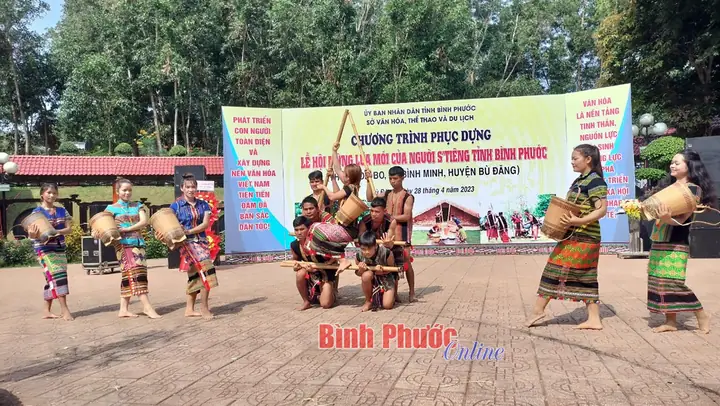 Thuyết Minh Về Lễ Hội Mừng Lúa Mới Ở Tây Nguyên: Bài Văn Mẫu Và Nghi Thức Truyền Thống Thuyết Minh Về Lễ Hội Mừng Lúa Mới Ở Tây Nguyên: Bài Văn Mẫu Và Nghi Thức Truyền Thống