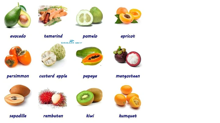 Học Tiếng Anh Qua Hình Ảnh: Phương Pháp Hiệu Quả Cho Trẻ Em 2‑8 Tuổi Học Tiếng Anh Qua Hình Ảnh: Phương Pháp Hiệu Quả Cho Trẻ Em 2‑8 Tuổi