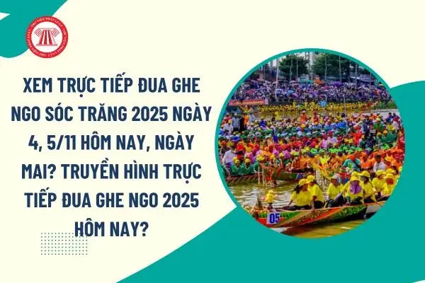 Xem Trực Tiếp Đua Ghe Ngo Sóc Trăng Ở Đâu Và Trên Kênh Nào Mới Nhất Xem Trực Tiếp Đua Ghe Ngo Sóc Trăng Ở Đâu Và Trên Kênh Nào Mới Nhất