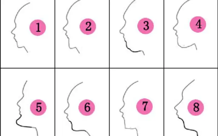 Hướng Dẫn Tự Học Tướng Số Từ A-z: Lộ Trình, Sách Hay Và 5 Bước Thực Hành Cơ Bản Cho Người Mới Bắt Đầu