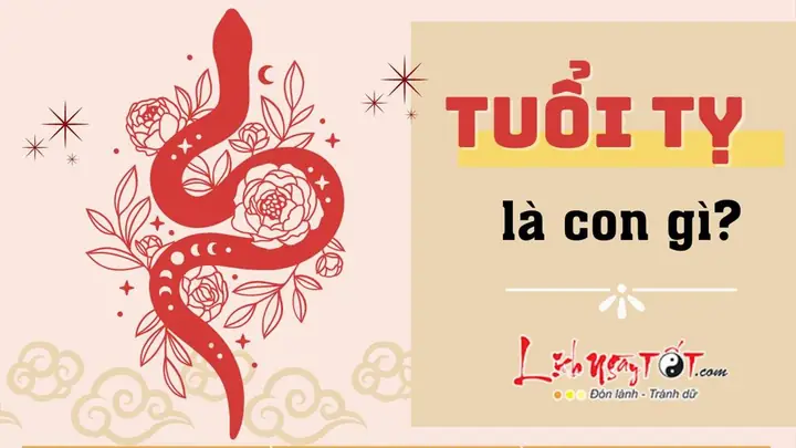 Tổng Quan Tử Vi Tướng Số Tuổi Tỵ: Tính Cách, Vận Mệnh Và Cuộc Sống Trọn Đời