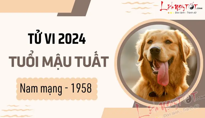 Xem Tử Vi Tướng Số Tuổi Mậu Tuất: Luận Giải Trọn Đời Và Vận Hạn Theo Nam Mạng 1958