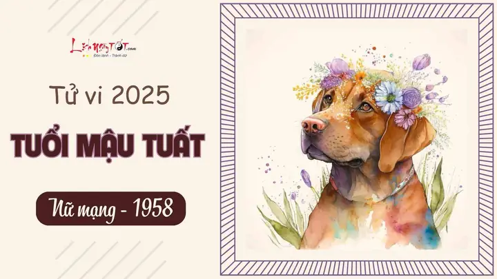 Xem Tử Vi Tướng Số Tuổi Mậu Tuất: Luận Giải Trọn Đời Và Vận Hạn Theo Nam Mạng 1958