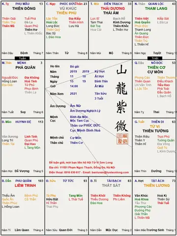 Xem Tử Vi Và Tướng Số Năm 2019 Kỷ Hợi Chi Tiết Cho 12 Con Giáp Và Tuổi Sinh