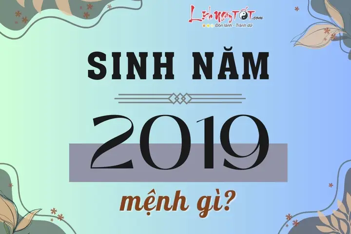 Xem Tử Vi Và Tướng Số Năm 2019 Kỷ Hợi Chi Tiết Cho 12 Con Giáp Và Tuổi Sinh