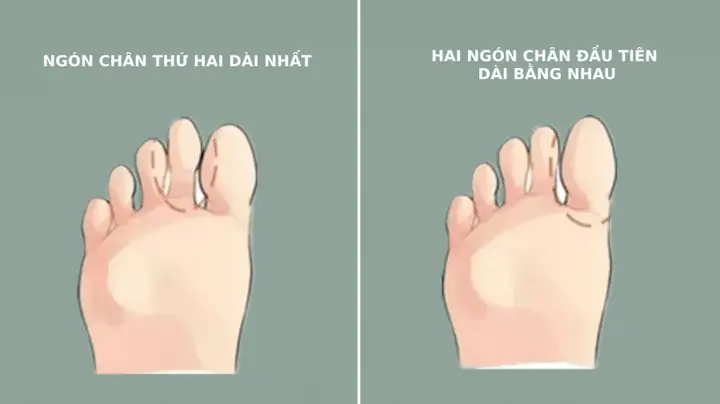 Tướng Bàn Chân Dài: Ý Nghĩa Điềm Báo Vận Mệnh, Tính Cách Và Phân Loại Chi Tiết Theo Nam/nữ Tướng Bàn Chân Dài: Ý Nghĩa Điềm Báo Vận Mệnh, Tính Cách Và Phân Loại Chi Tiết Theo Nam/nữ