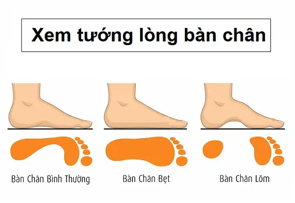 Tướng Bàn Chân Dài: Ý Nghĩa Điềm Báo Vận Mệnh, Tính Cách Và Phân Loại Chi Tiết Theo Nam/nữ Tướng Bàn Chân Dài: Ý Nghĩa Điềm Báo Vận Mệnh, Tính Cách Và Phân Loại Chi Tiết Theo Nam/nữ