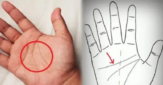 Tướng Bàn Tay Sung Sướng: 10+ Dấu Hiệu Nhận Biết Người Giàu Có, Phúc Lộc Trọn Vẹn
