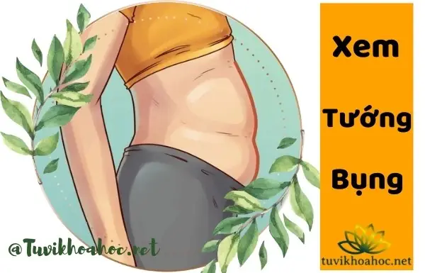 Xem Tướng Bụng Phụ Nữ: Giải Mã 14+ Đặc Điểm Tướng Giàu Sang, Phúc Lộc Theo Nhân Tướng Học Xem Tướng Bụng Phụ Nữ: Giải Mã 14+ Đặc Điểm Tướng Giàu Sang, Phúc Lộc Theo Nhân Tướng Học