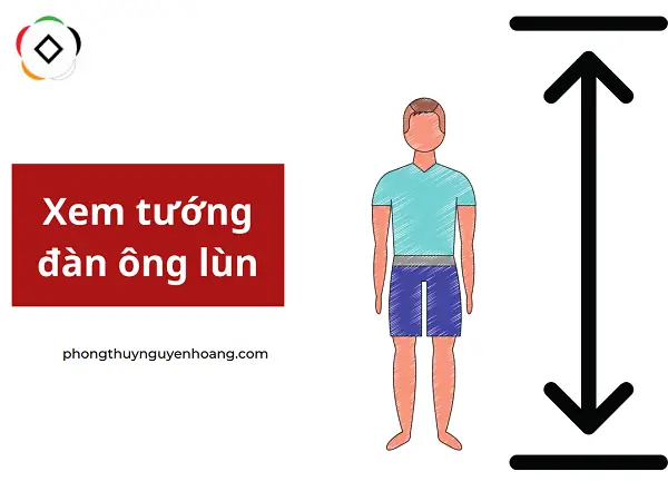 Tướng Đàn Ông Lùn: Giải Mã Ý Nghĩa "nhất Lé Nhì Lùn", Xem Định Mệnh Giàu Sang Nghèo Khổ Chi Tiết Tướng Đàn Ông Lùn: Giải Mã Ý Nghĩa "nhất Lé Nhì Lùn", Xem Định Mệnh Giàu Sang Nghèo Khổ Chi Tiết