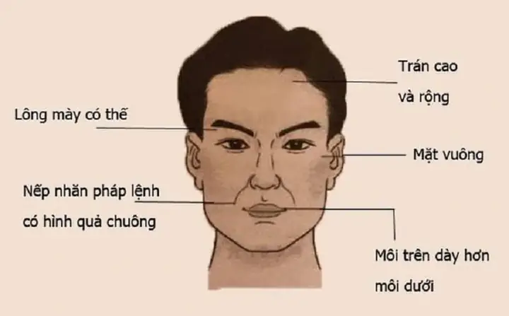 Giải Nghĩa Tướng Đàn Ông Mắt Thâm Quầng Trong Nhân Tướng Học Và Sức Khỏe Giải Nghĩa Tướng Đàn Ông Mắt Thâm Quầng Trong Nhân Tướng Học Và Sức Khỏe