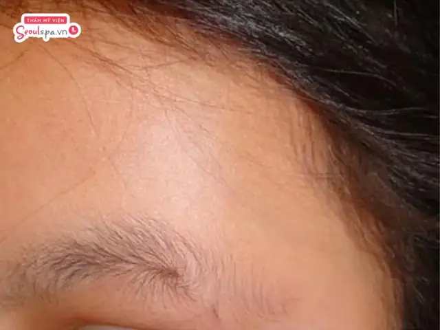 Tướng Lông Mày Xoáy Ở Đuôi Tốt Hay Xấu: Giải Mã Ý Nghĩa Tính Cách Và Vận Mệnh Tướng Lông Mày Xoáy Ở Đuôi Tốt Hay Xấu: Giải Mã Ý Nghĩa Tính Cách Và Vận Mệnh