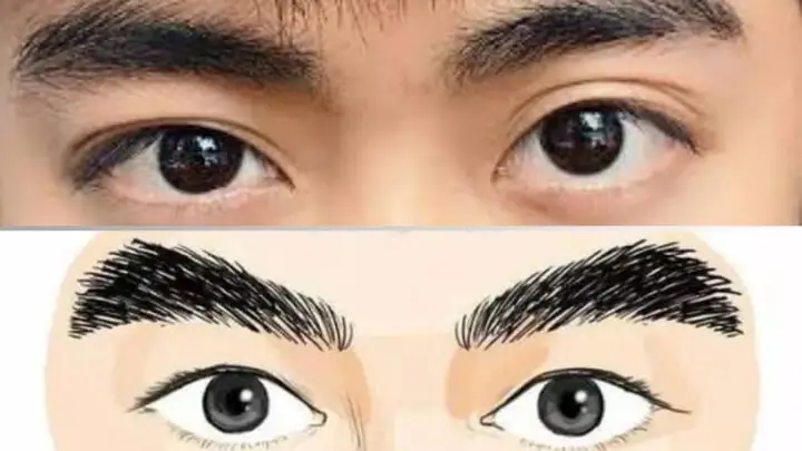 Giải Mã Tướng Lông Mày Cong (vòng Cung): Ý Nghĩa Phong Thủy, Phân Loại Quý - Xấu & Vận Mệnh Nam Nữ Giải Mã Tướng Lông Mày Cong (vòng Cung): Ý Nghĩa Phong Thủy, Phân Loại Quý - Xấu & Vận Mệnh Nam Nữ