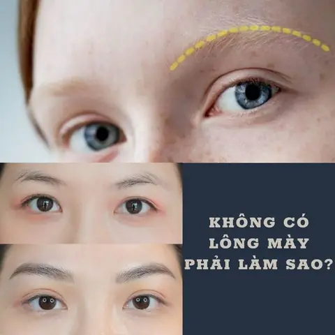 Giải Nghĩa Tướng Lông Mày Dày Không Đậm Không Nhạt Theo Nhân Tướng Học Cho Đàn Ông Và Phụ Nữ