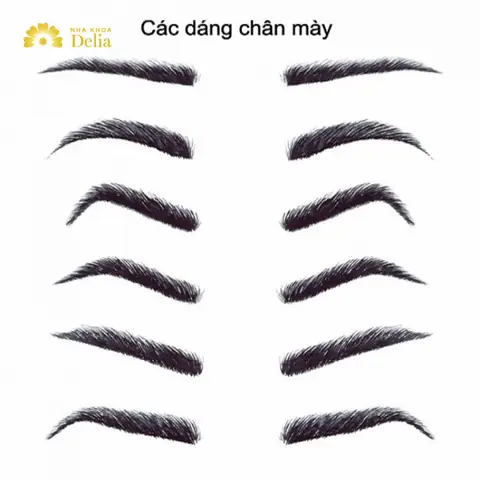 Tổng Hợp Tướng Lông Mày Đẹp Đắt Giá Cho Nam Và Nữ: Ý Nghĩa, Phân Loại Và Cách Nhìn Nhận Theo Nhân Tướng Học Tổng Hợp Tướng Lông Mày Đẹp Đắt Giá Cho Nam Và Nữ: Ý Nghĩa, Phân Loại Và Cách Nhìn Nhận Theo Nhân Tướng Học