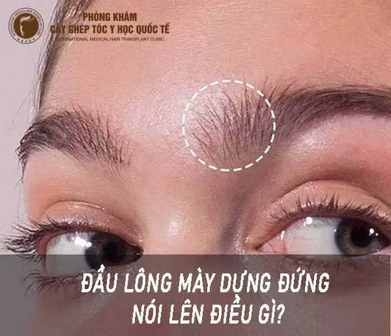 Luận Giải Tướng Lông Mày Dựng Đứng: Ý Nghĩa Tính Cách Và Vận Mệnh Theo Nhân Tướng Học Luận Giải Tướng Lông Mày Dựng Đứng: Ý Nghĩa Tính Cách Và Vận Mệnh Theo Nhân Tướng Học