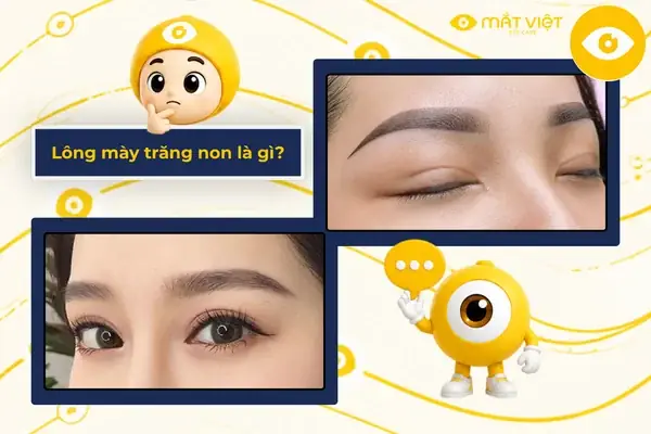 Giải Nghĩa Tướng Lông Mày Hình Mũ Nón (chữ V Ngược) Ở Nam Và Nữ Theo Nhân Tướng Học Giải Nghĩa Tướng Lông Mày Hình Mũ Nón (chữ V Ngược) Ở Nam Và Nữ Theo Nhân Tướng Học